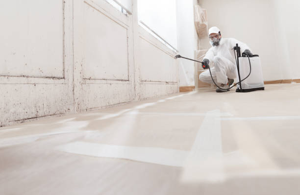24/7 Emergency Mold Remediation experts in Spring Lake, MI